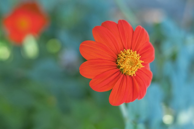 名经验丰富 名经验丰富