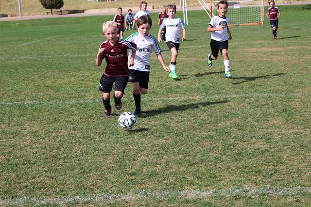 让他们付出 让他们付出