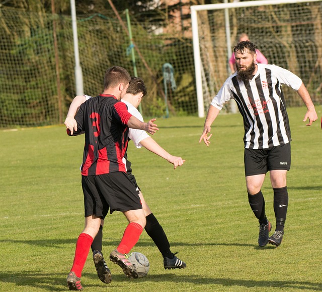 能不仅令他 能不仅令他