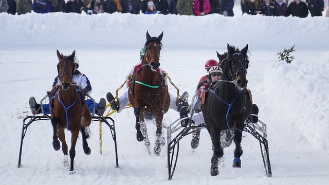的时间里展 的时间里展