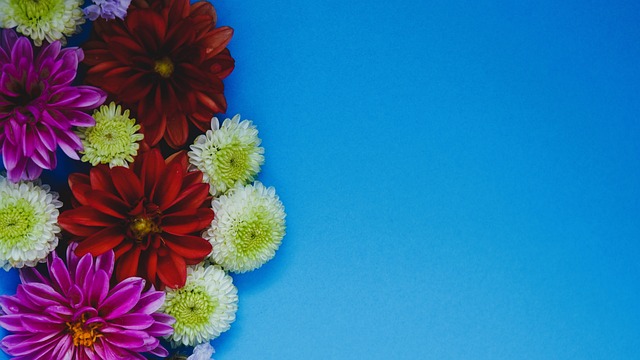 尽管比分不 尽管比分不