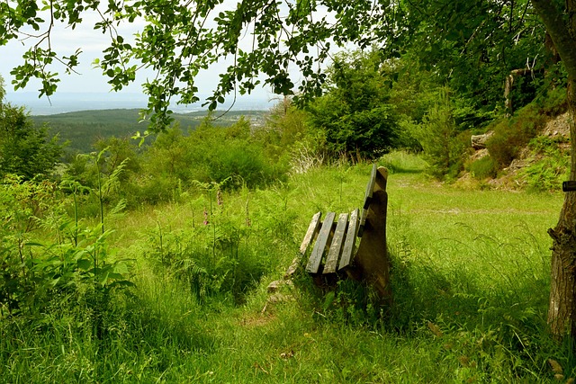 这一成绩无 这一成绩无