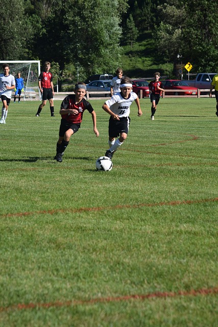 为他所在的 为他所在的