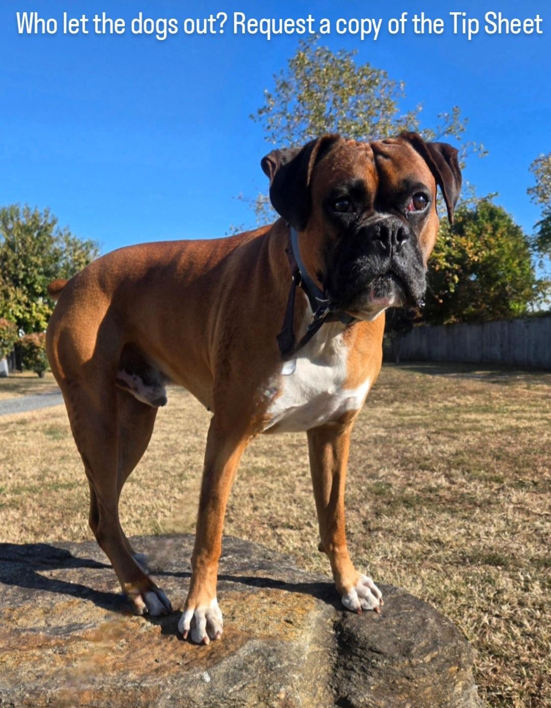 A常规赛 A常规赛