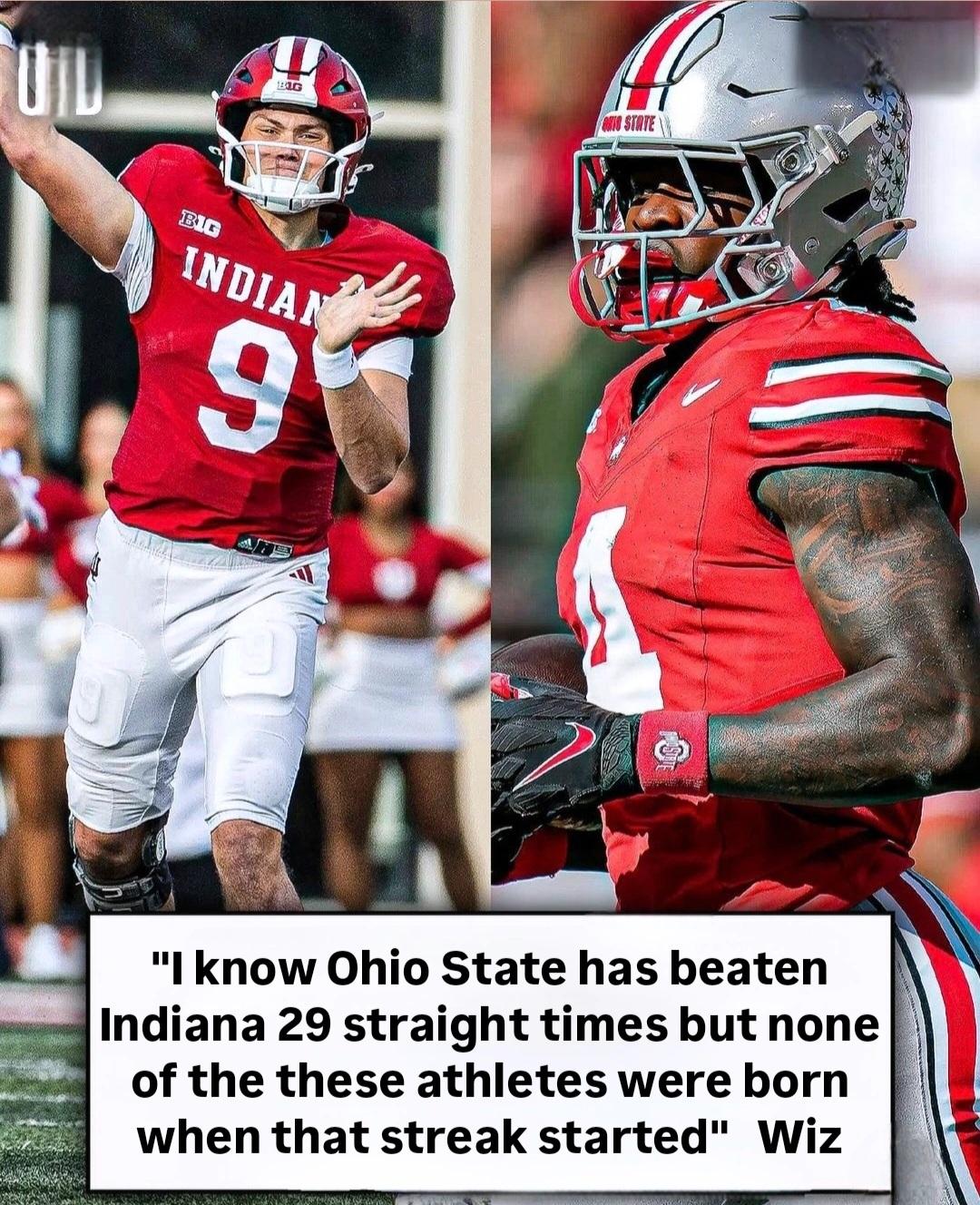 森林狼的东 森林狼的东