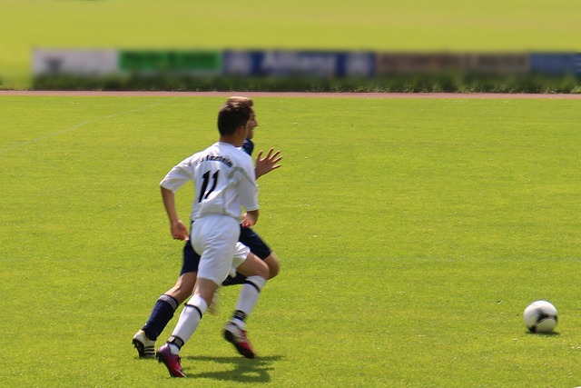 调整和提高 调整和提高