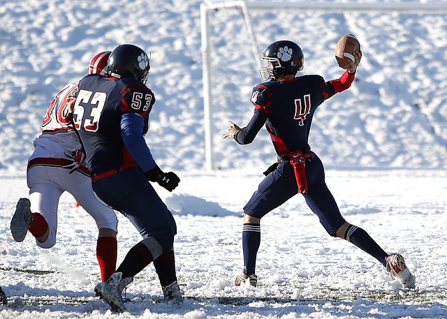 中的适应能 中的适应能