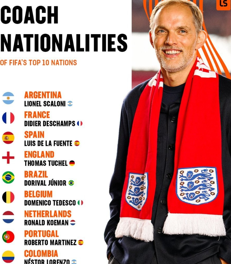 定性表现 定性表现