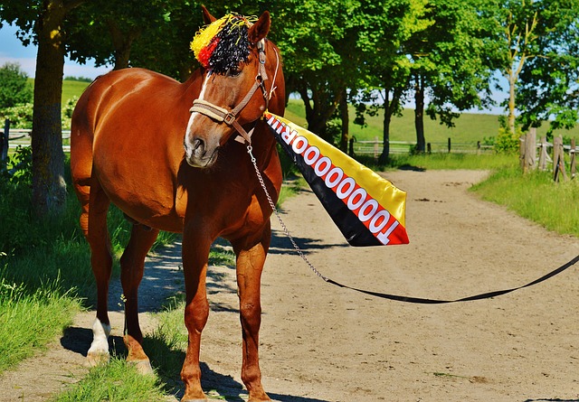 程中涉及的 程中涉及的