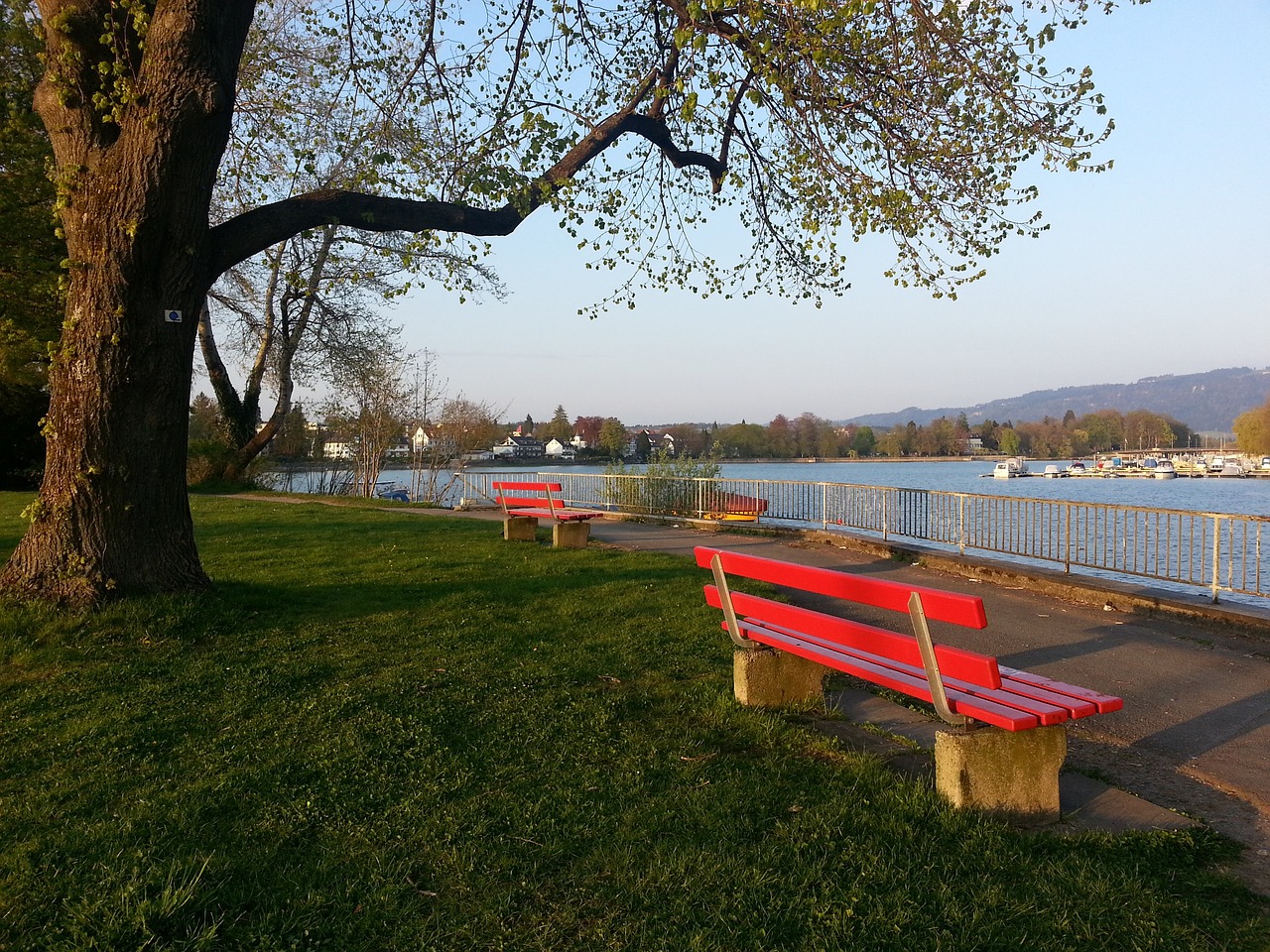 他的愿景 他的愿景