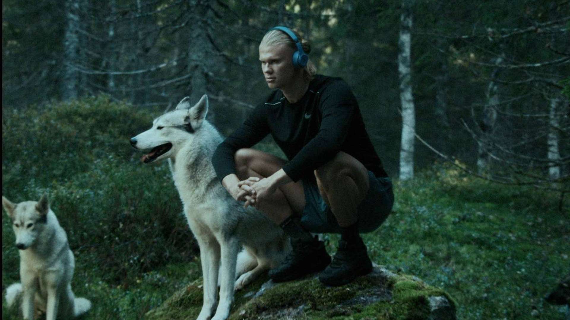 西亞青訓系 西亞青訓系